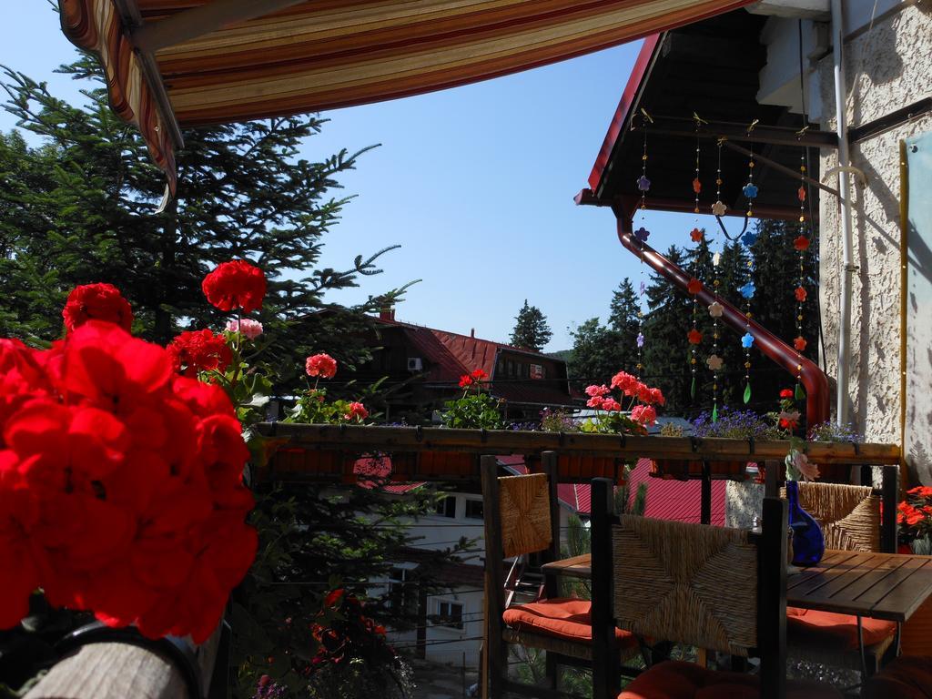 Bistro-Pension La Teleferic シナヤ エクステリア 写真
