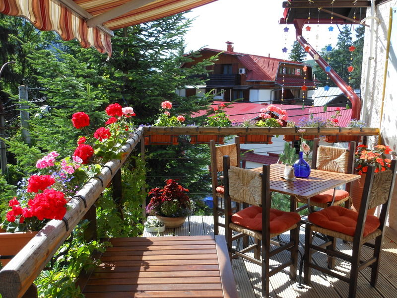 Bistro-Pension La Teleferic シナヤ エクステリア 写真