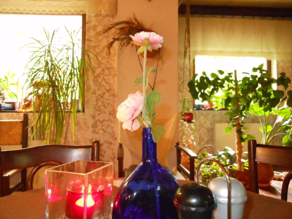 Bistro-Pension La Teleferic シナヤ エクステリア 写真